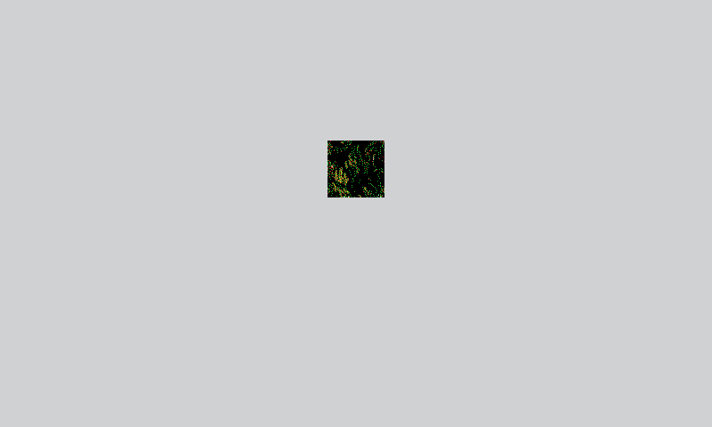 The identical outlined Cypresses pixels, with the surrounding pixels replaced by native white.