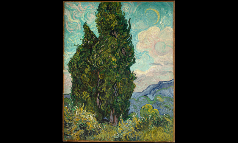 Cypresses, source image